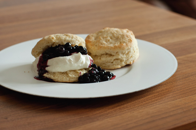 Scone and Blueberry