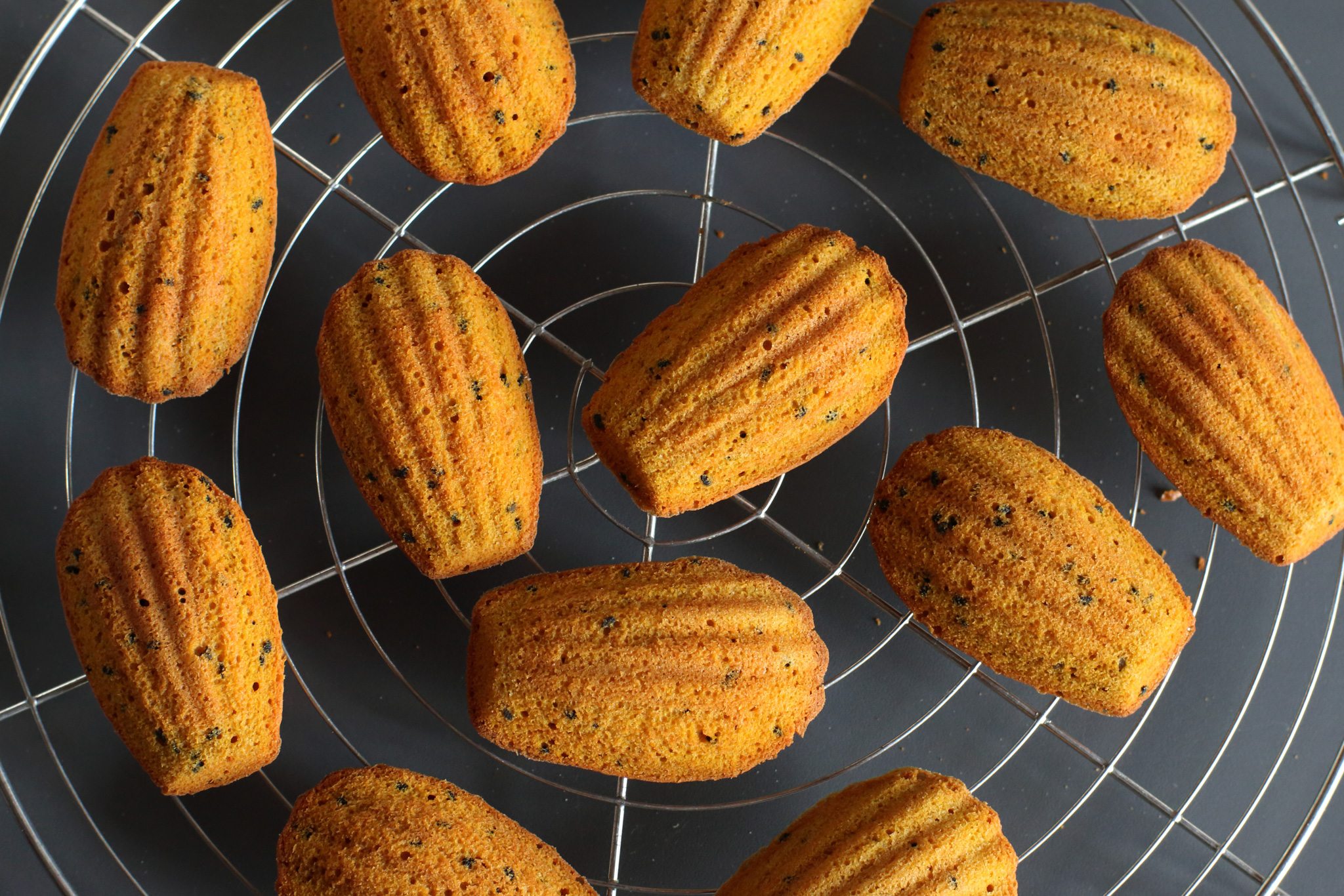 madeleine
