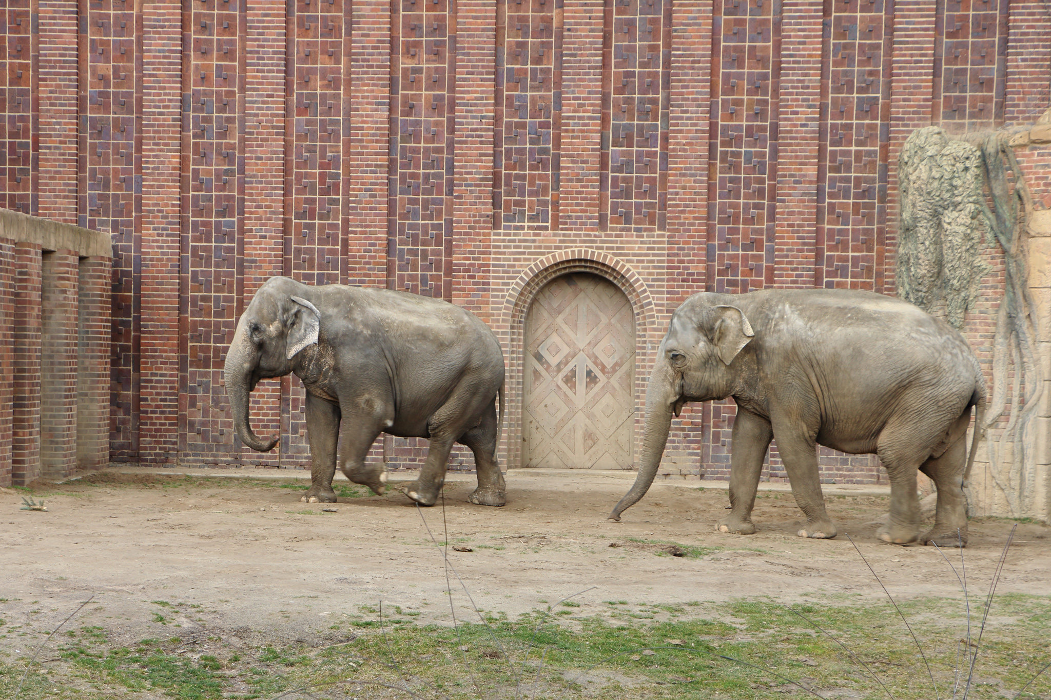 zoo01