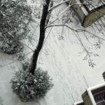 noch Schnee