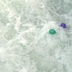 in the stream