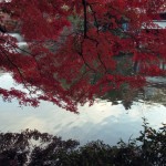 井の頭公園