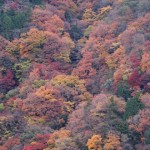 箱根
