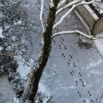 Schnee