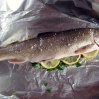 Saibling