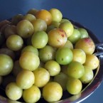 Mirabelle