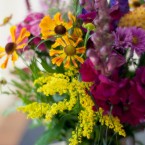 Farben des Herbsts