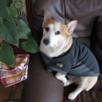 Chris – Dec 2011