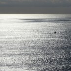 Shonan