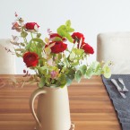 Ranunculus
