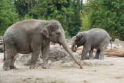 Tierpark Hellabrunn