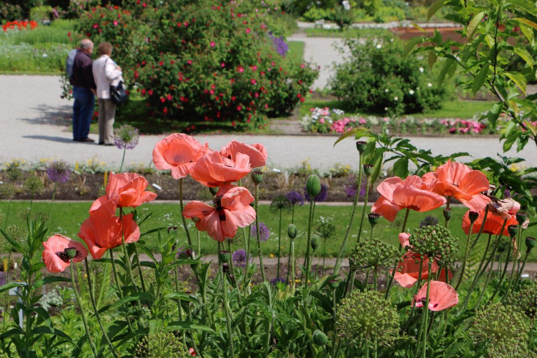 Botanischer Garten