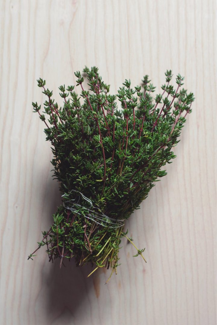 Thyme