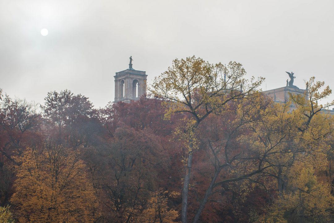 Dans la brume du matin…