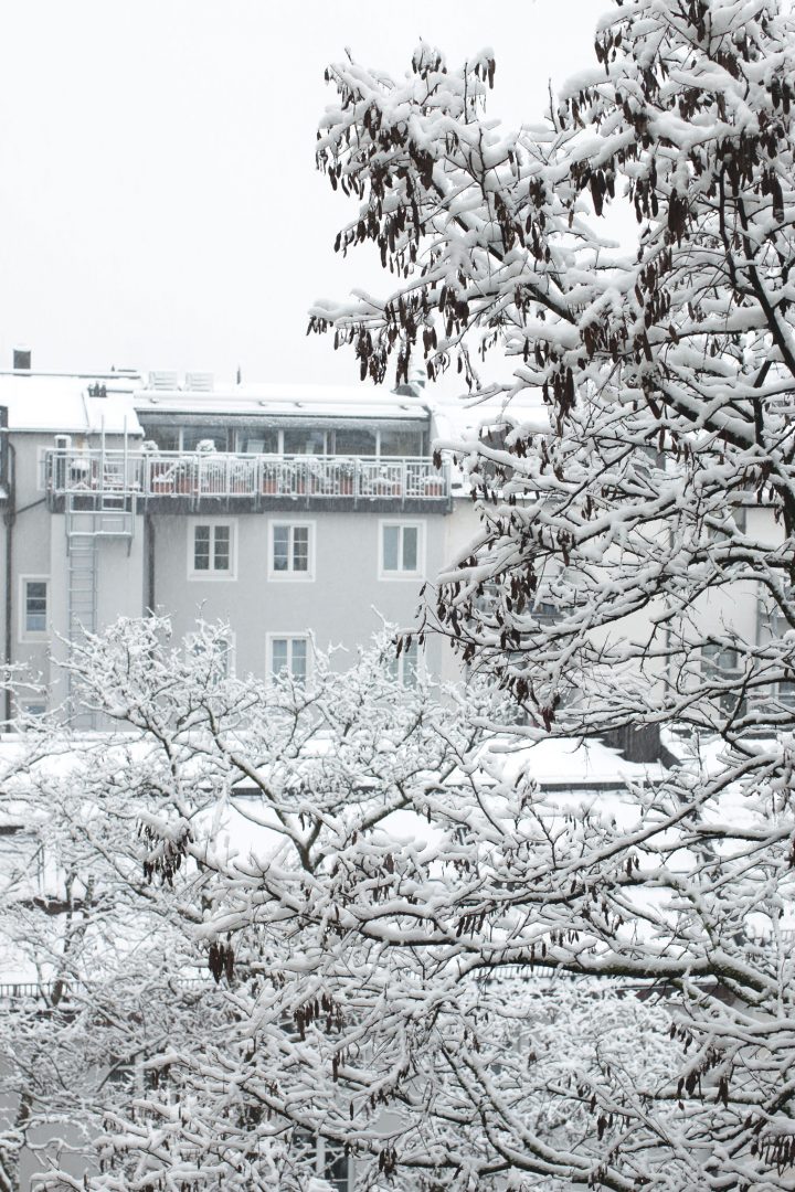 Feuchtschnee