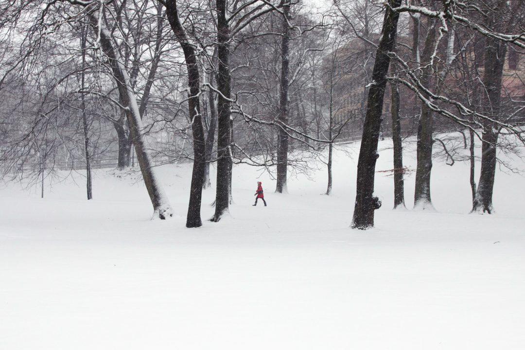 Noch Schnee