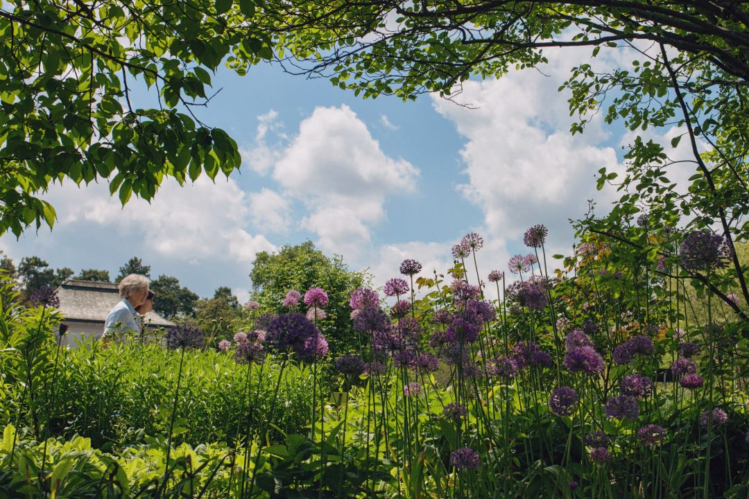 Botanischer Garten