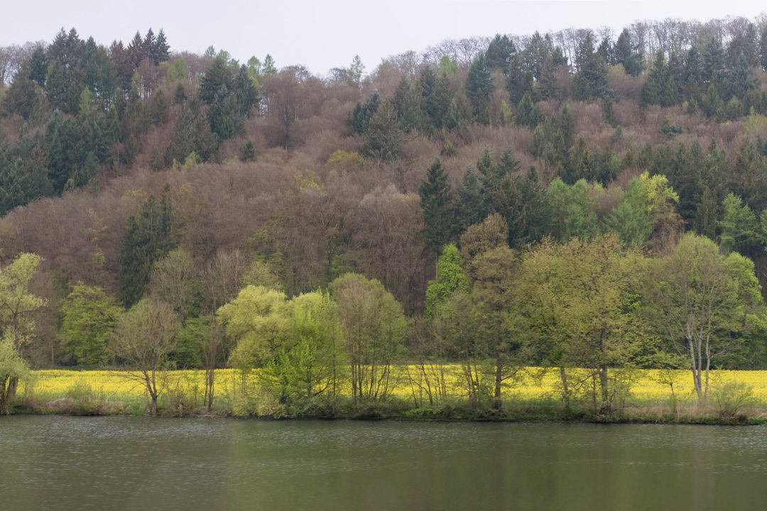 Farben des Frühlings