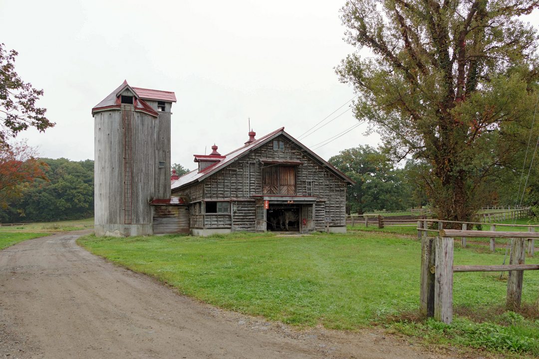 Koiwai Farm