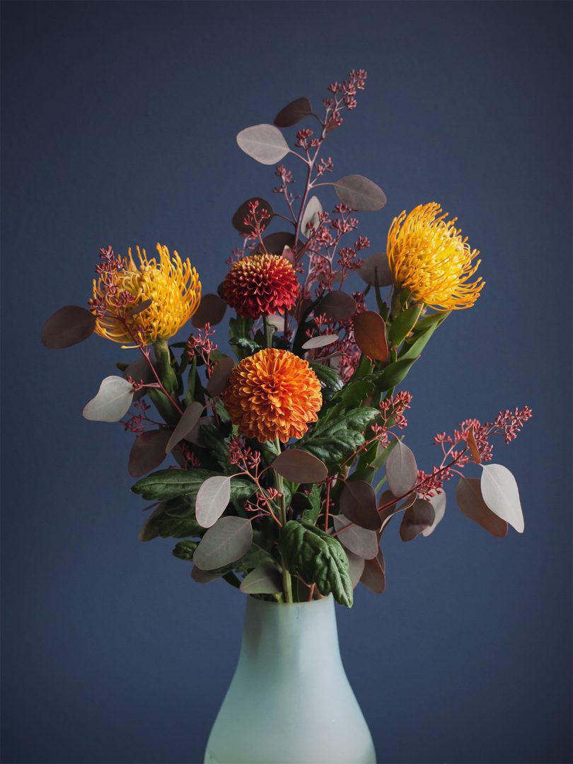 Pincushion & Co.
