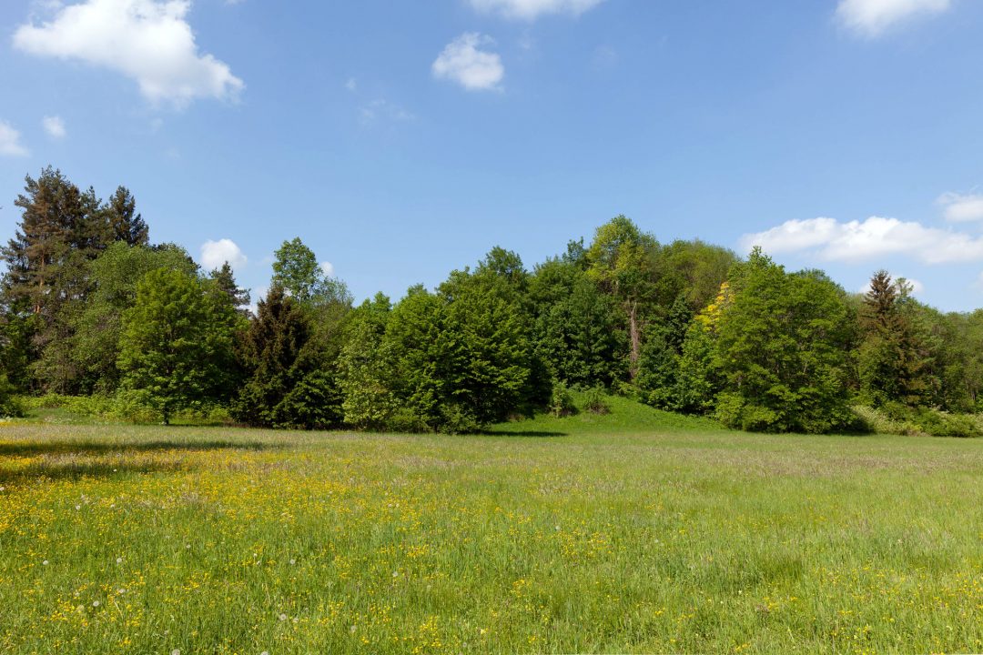 Perlacher Forst