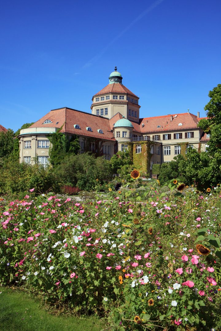 Botanischer Garten