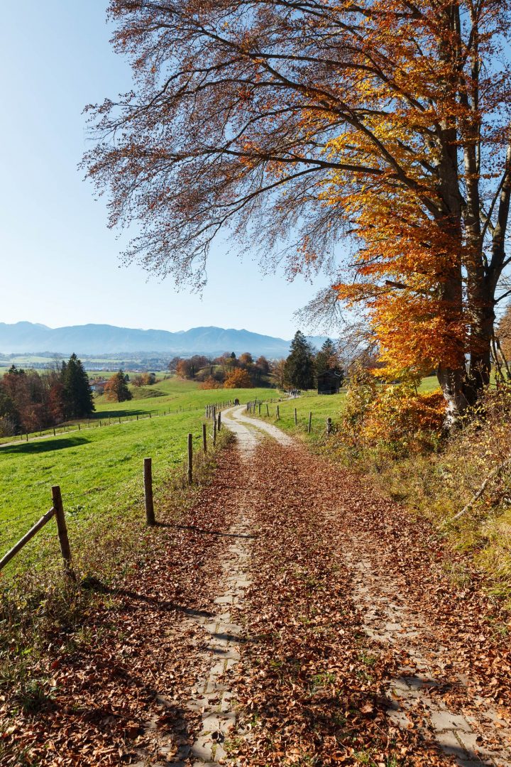 Aidlinger Höhe