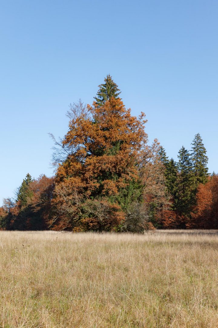 Osterseen