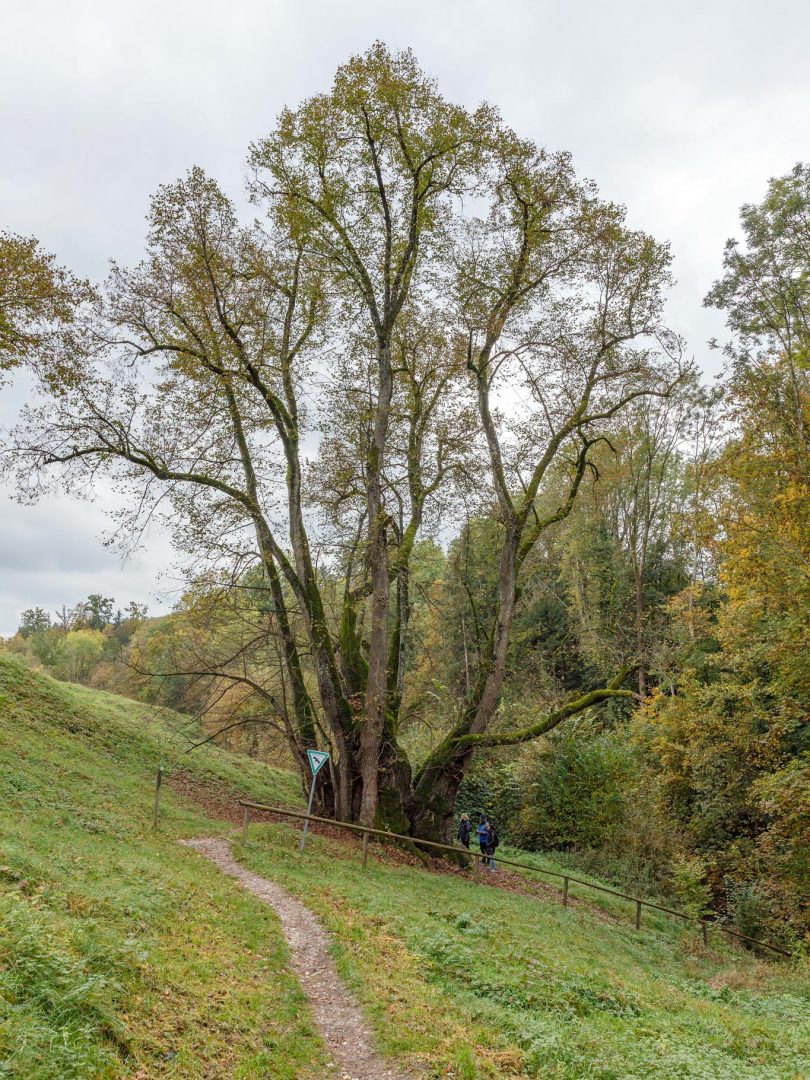 Murnau-Wessobrunn