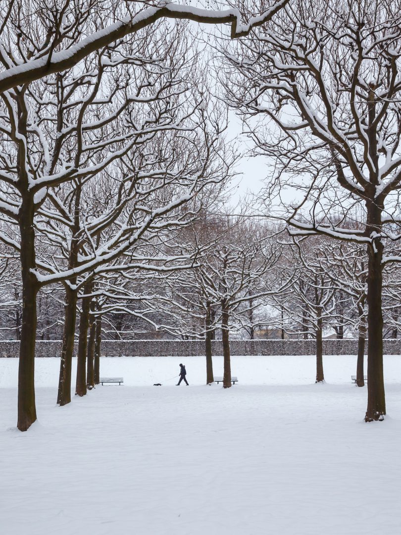 Schnee